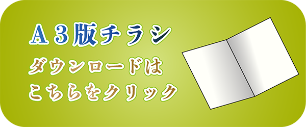 A3版チラシ