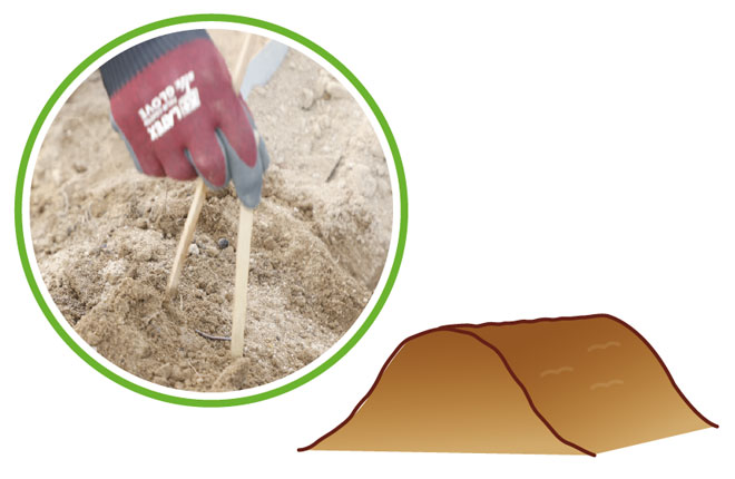 畝立てをし、案内棒を引き抜く