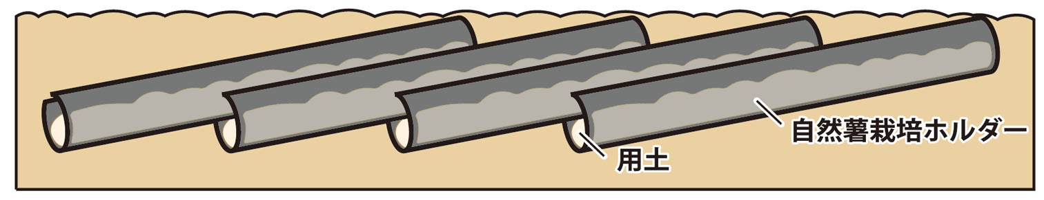 畑の土の高さをホルダーの高さに揃え.押しピンを取り除く