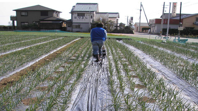 通路部分をふさぎます。