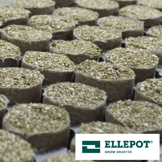 ペーパーポットシステムーイワタニ サブストシステムー