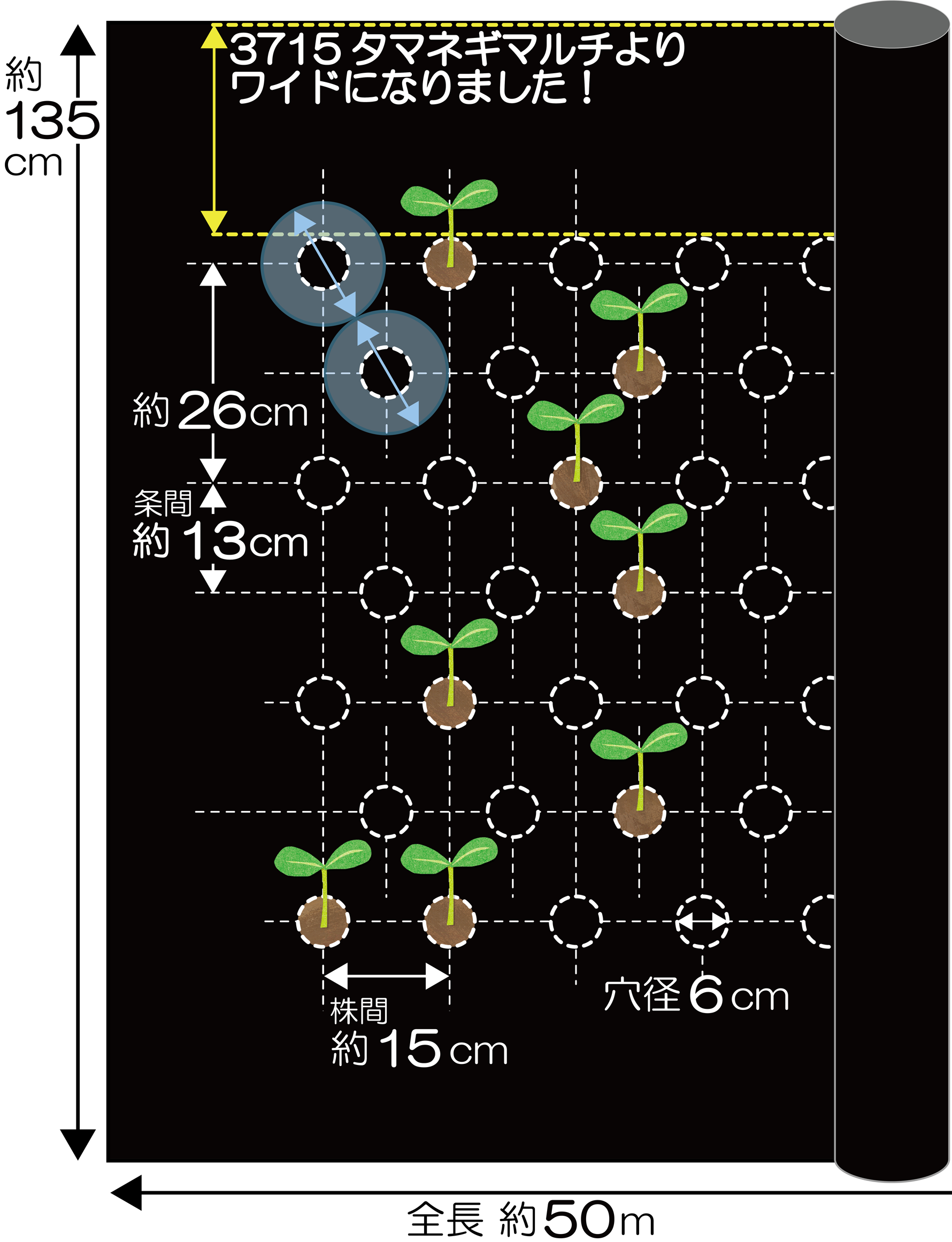 新フリーホールマルチ135規格図