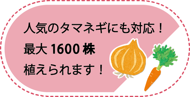 人気のタマネギにも対応！最大1600株植えられます！