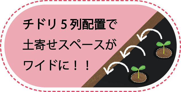 チドリ5列配置で土寄せスペースがワイドに！！