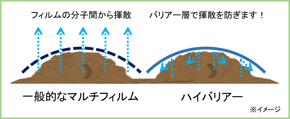 ワンピなど最旬ア！ 東罐 トーカン バリアースターV 厚さ0.05mm 巾600cm 100m巻 土壌消毒