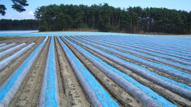 製品紹介｜岩谷マテリアル